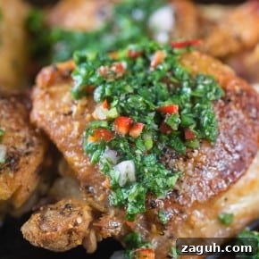 Crispy Chimichurri Chicken Recipe: Tangy Herb-Crusted Chicken 2 img 10057 5