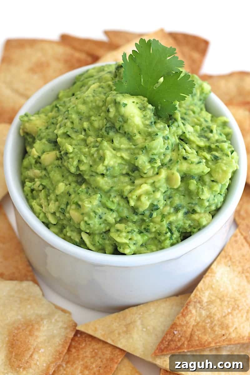 Authentic Mexican Fiesta Recipes for Your Party Menu 3 The BEST Blender Guacamole!