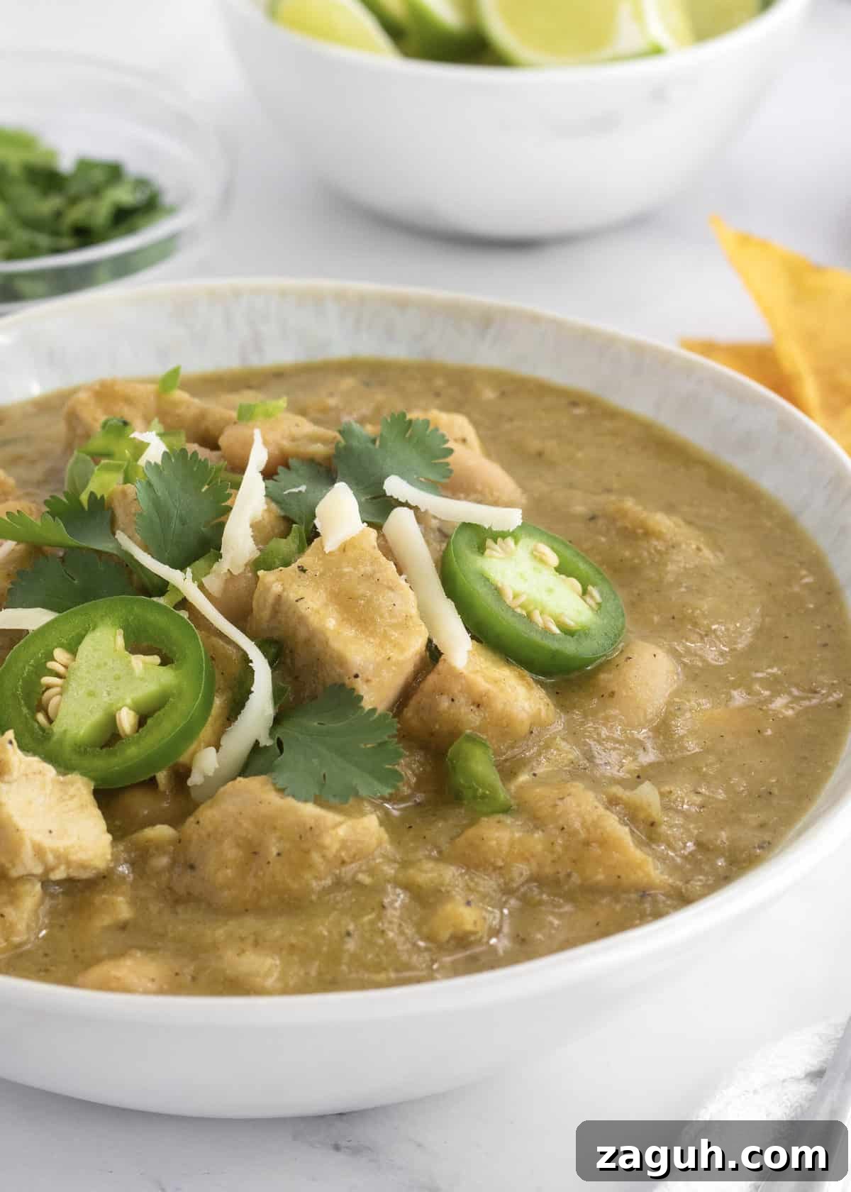 Authentic Mexican Fiesta Recipes for Your Party Menu 21 Green Chicken Chili by The BakerMama