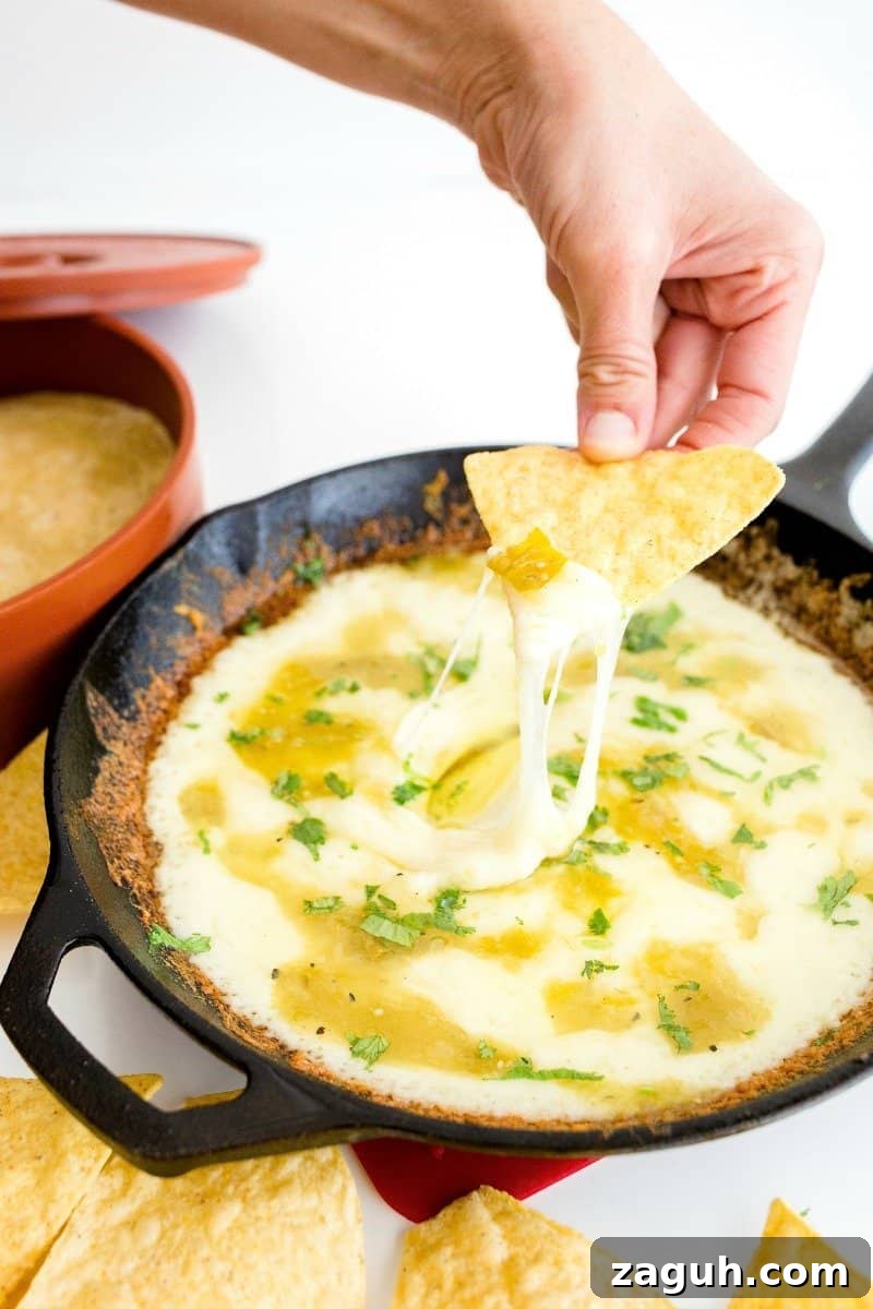 Authentic Mexican Fiesta Recipes for Your Party Menu 4 Skillet Queso Fundido