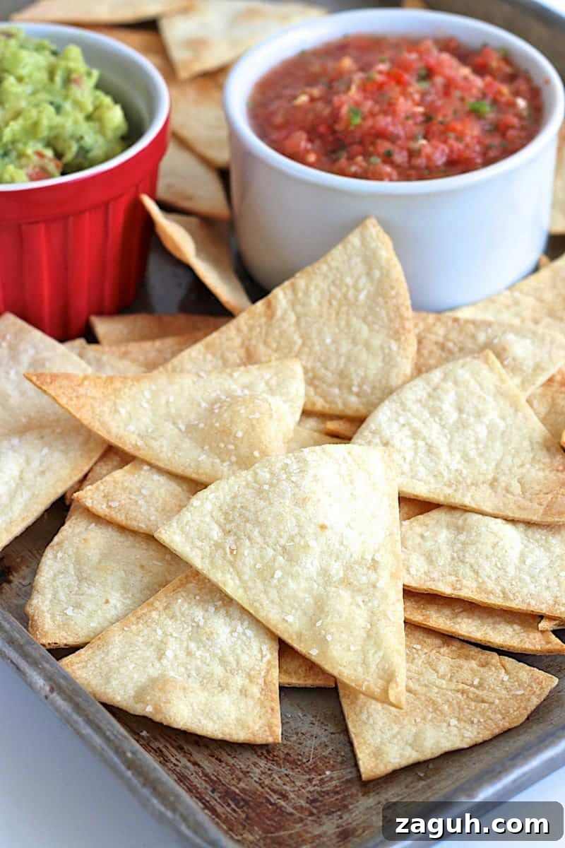 Authentic Mexican Fiesta Recipes for Your Party Menu 9 Baked Tortilla Chips