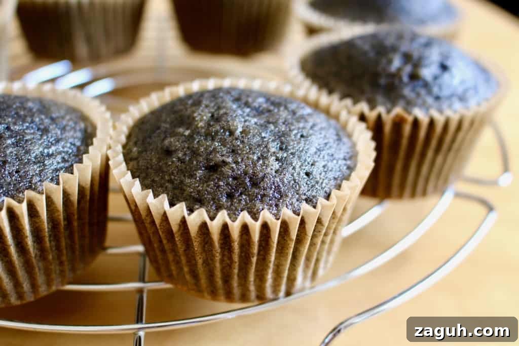 Black cupcakes baked and cooling, waiting to be frosted