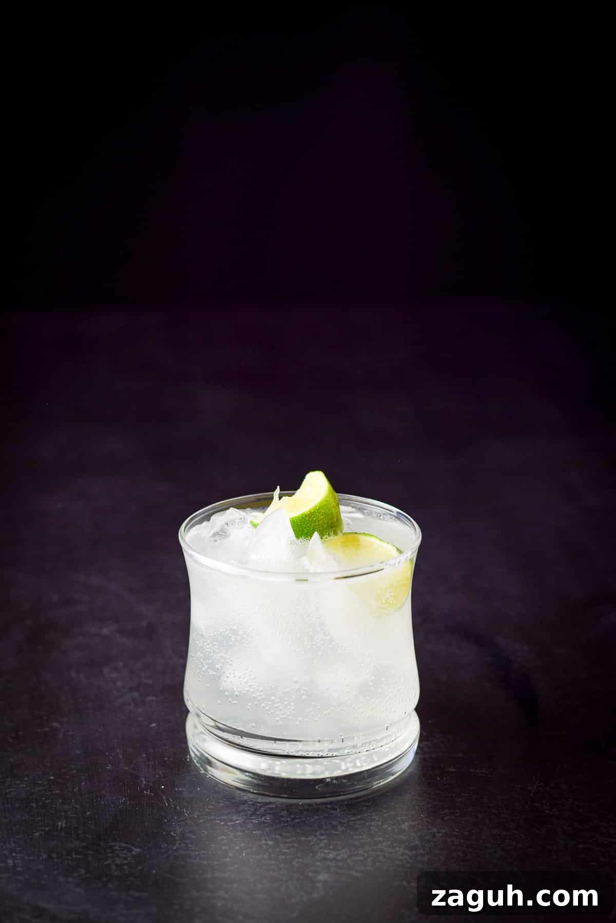 Classic Gin and Tonic Cocktail Recipe: Perfect Citrus Twist 2 Dark shot of a double old fashioned glass filled with the cocktail with two lime wedges in it