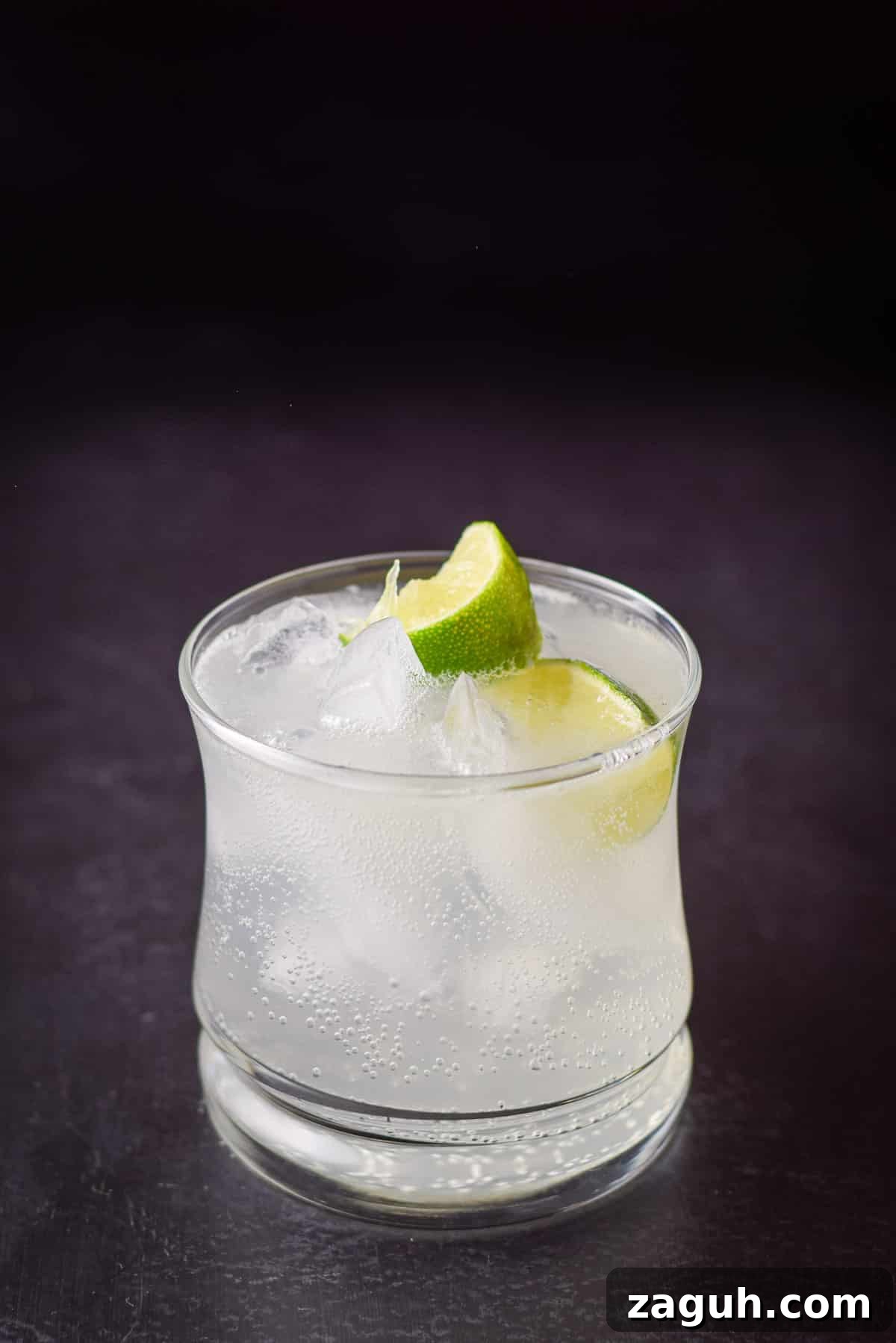 Classic Gin and Tonic Cocktail Recipe: Perfect Citrus Twist 4 A close view of the cocktail and two lime wedges in a double old fashioned glass