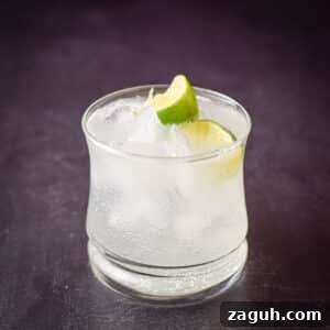 Classic Gin and Tonic Cocktail Recipe: Perfect Citrus Twist 6 A close view of the cocktail and two lime wedges in a double old fashioned glass - square