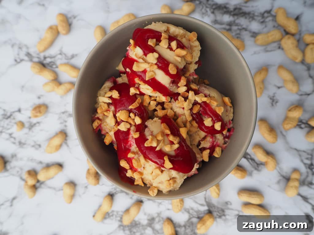 Peanut Butter & Jelly Ice Cream Recipe: Creamy PB&J Frozen Treat 15 Peanut butter and jelly with sauce and nuts