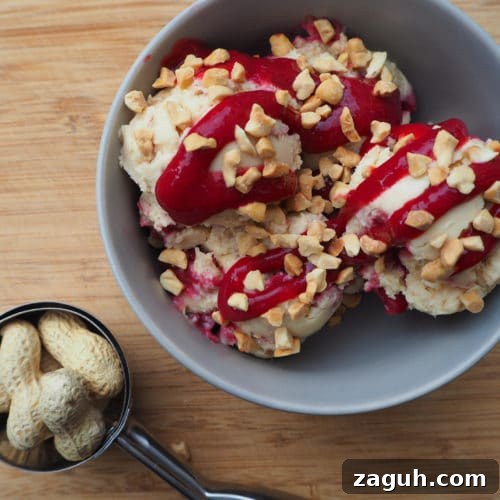 Peanut Butter & Jelly Ice Cream Recipe: Creamy PB&J Frozen Treat 16 Peanut butter and jelly ice cream