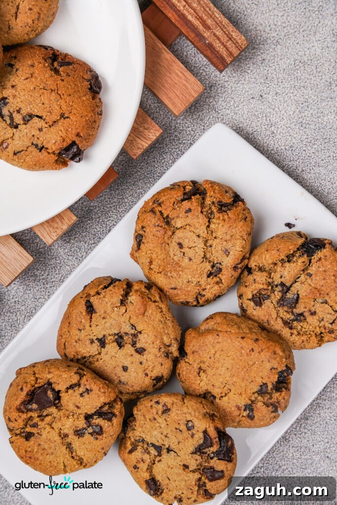 Almond Flour Chocolate Chip Cookie Recipe — Soft & Chewy</assistant 12 Top view of a plate filled with paleo chocolate chip cookies, showing a crisp exterior and chocolate-studded texture.