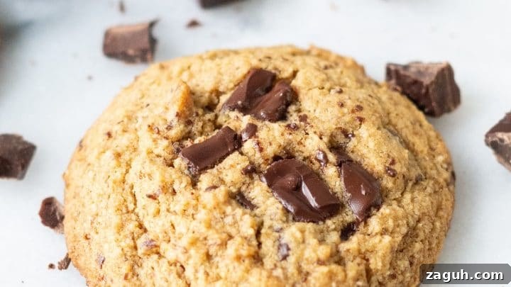 Paleo Chocolate Chip Cookie on a white background with chunks of chocolate around it