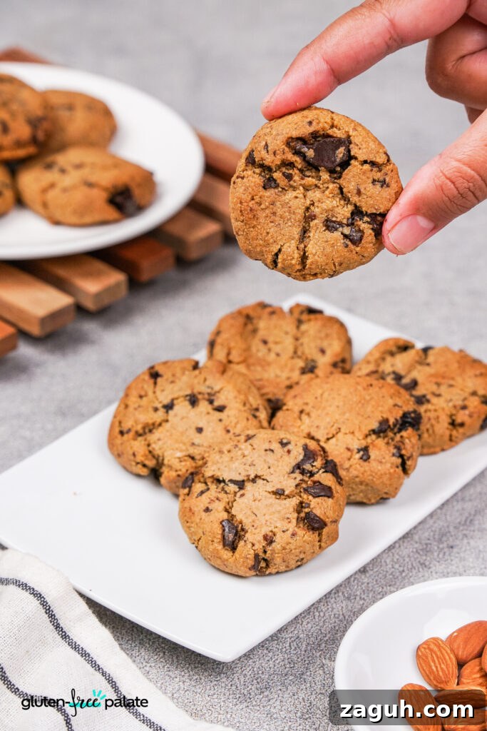 Almond Flour Chocolate Chip Cookie Recipe — Soft & Chewy</assistant 3 A hand holding a freshly baked paleo chocolate chip cookie with visible chocolate chunks. A plate of cookies is placed in the background.