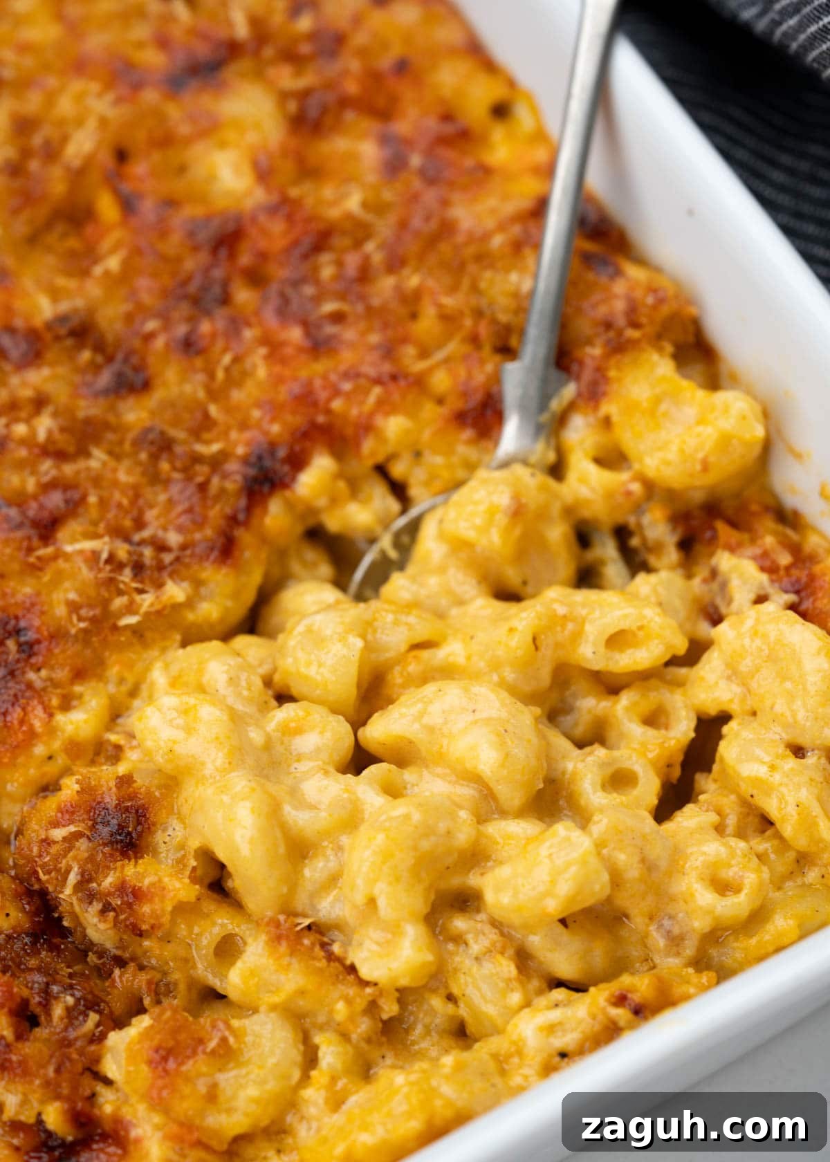 Creamy Oven-Baked Macaroni and Cheese Recipe 7 Close up of creamy baked mac and cheese with a crispy breadcrumb parmesan topping