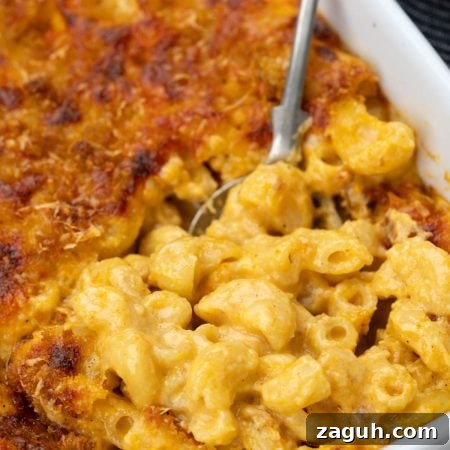 Creamy Oven-Baked Macaroni and Cheese Recipe 8 img 113828 7