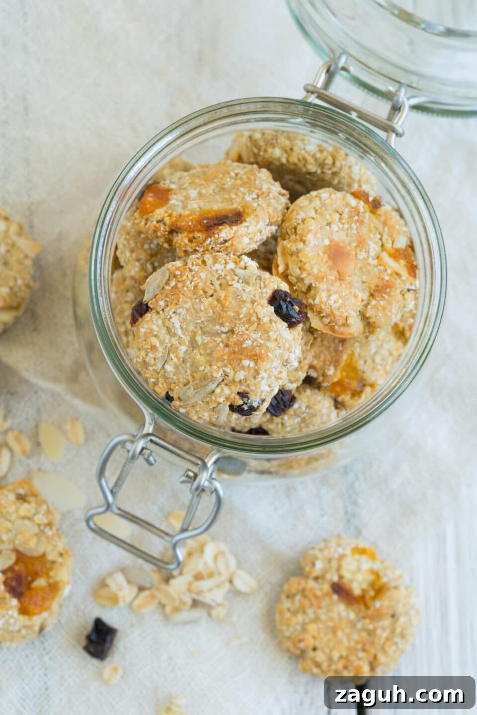 Vegan Crunchy Granola Cookies Recipe for Homemade Snacks 2 crunchy cookies