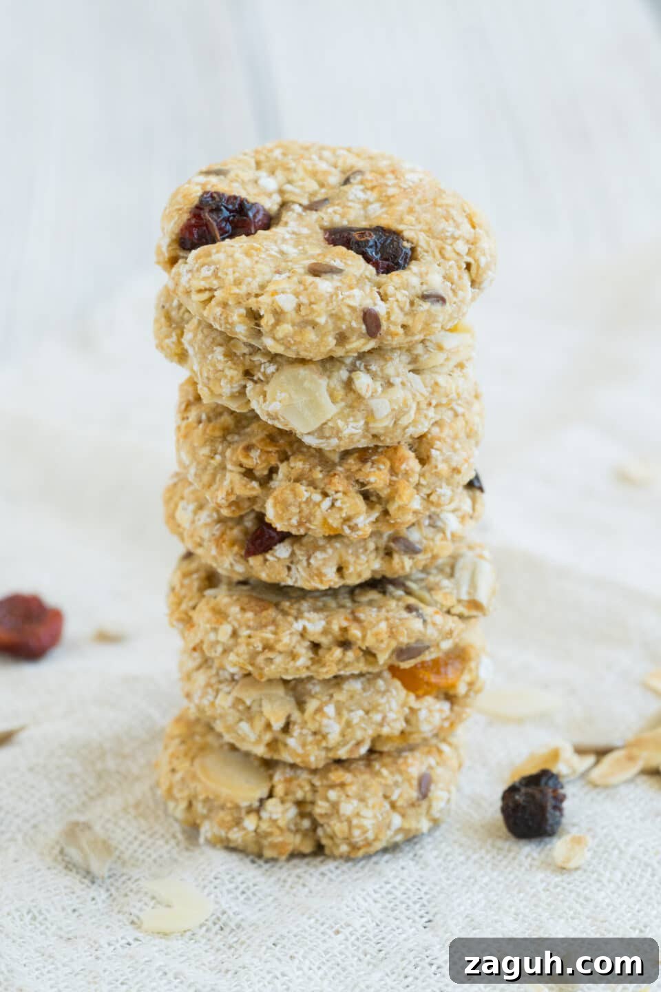 Vegan Crunchy Granola Cookies Recipe for Homemade Snacks 5 vegan lowfat snack for young and old