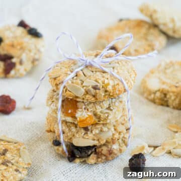 Vegan Crunchy Granola Cookies Recipe for Homemade Snacks 6 healthy granola cookies vegan and crunchy