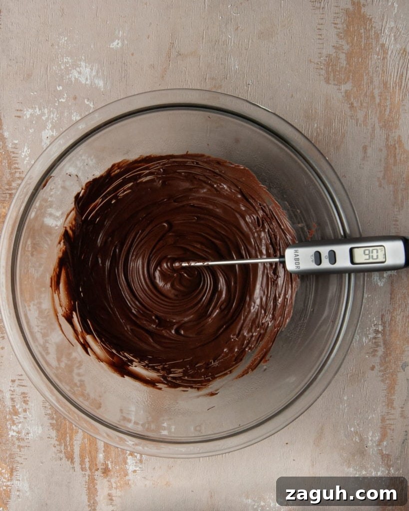 Baileys Hot Chocolate Bombs Recipe: Homemade Boozy Cocoa Surprises 4 Using a Candy Thermometer to Monitor Chocolate Temperature while Tempering