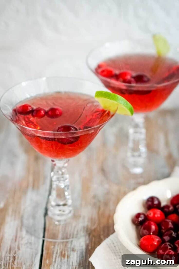 A couple martini glasses of cranberry moscato wine punch.