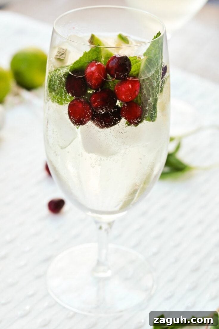 A Hugo Spritz cranberry cocktail garnished with fresh berries and herbs.