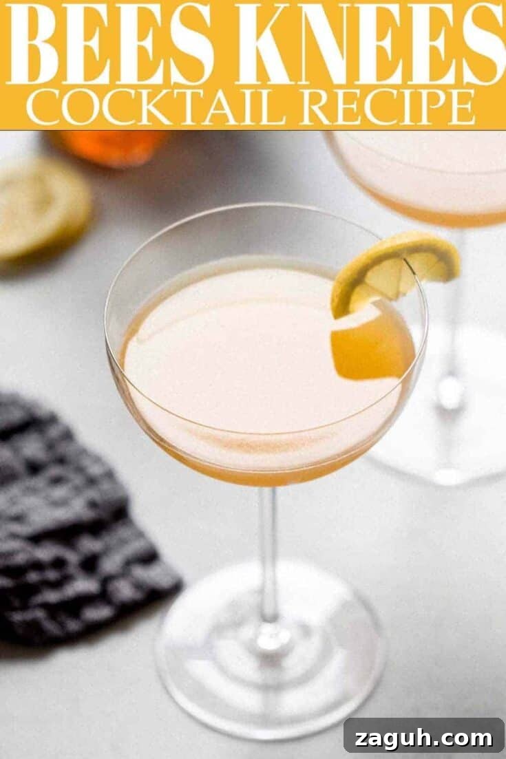 A bee’s knees cocktail garnished with a citrus peel twist.