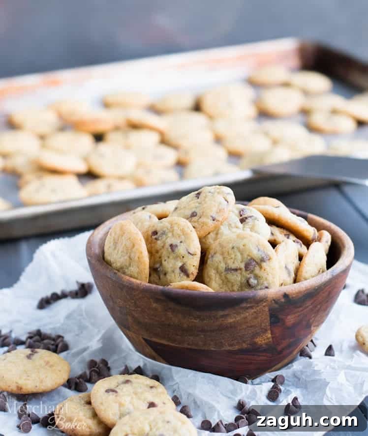 Mini Chocolate Chip Cookies: Perfect One-Bite Treats 2 One Bite Mini Chocolate Chip Cookies