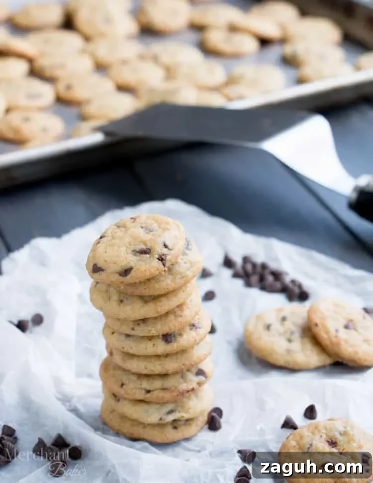 Mini Chocolate Chip Cookies: Perfect One-Bite Treats 8 One Bite Mini Chocolate Chip Cookies have slightly crispy edges and soft, chewy centers. One batch makes a bunch of teeny, tiny cookies, chock full of chocolate chips.