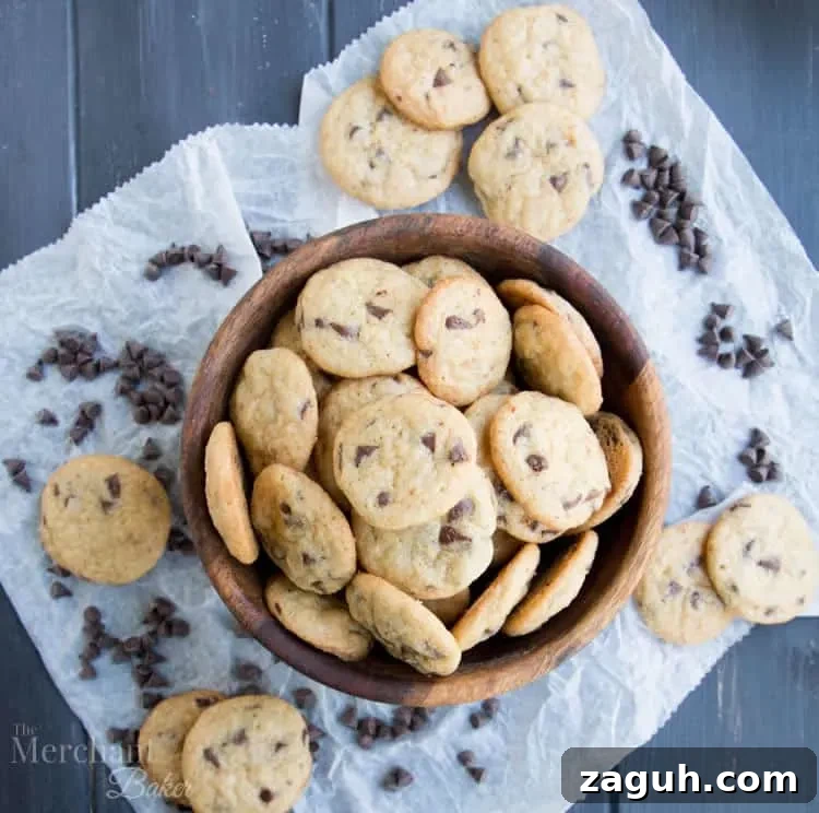 Mini Chocolate Chip Cookies: Perfect One-Bite Treats 3 One Bite Mini Chocolate Chip Cookies