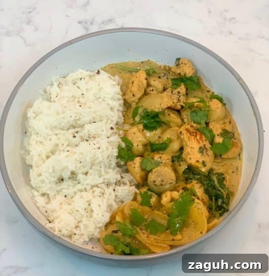 Crispy Peri Peri Chicken Strips Recipe for Bold Flavor 7 Slimming World Easy Chicken Curry