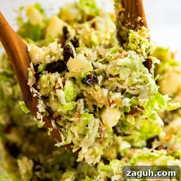 Salad with shredded brussel sprouts