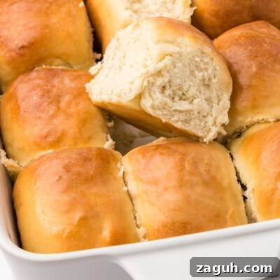 Homemade Sourdough Rolls Recipe for Soft, Tangy Bread 2 Sourdough Rolls feature