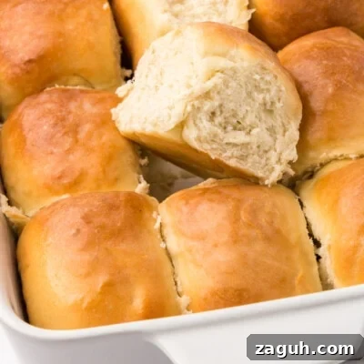 Homemade Sourdough Rolls Recipe for Soft, Tangy Bread 3 Sourdough Rolls feature
