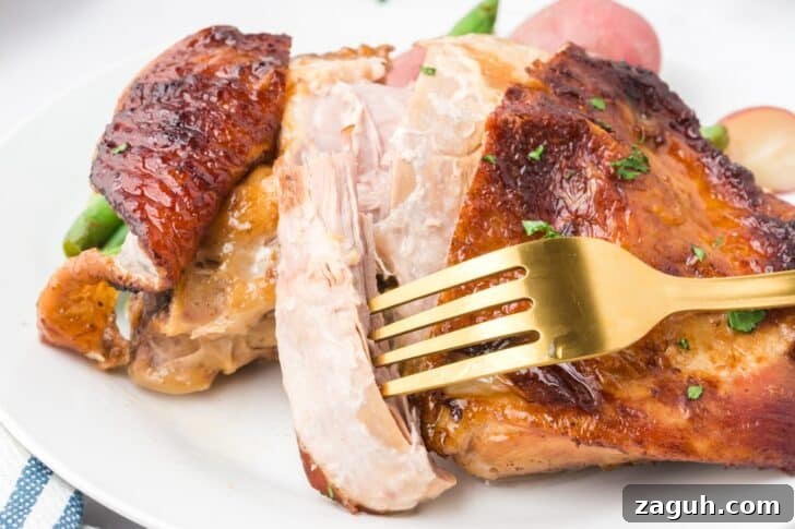 19 Cozy Autumn Dinner Recipes to Keep You Warm This Season 17 turkey