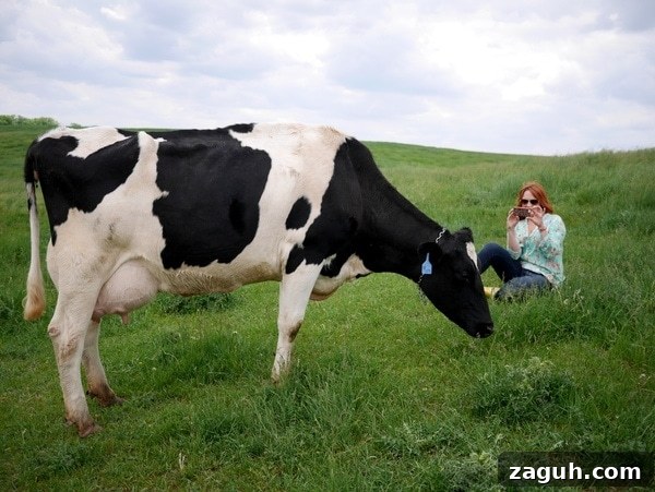 Ree and the Dairy Cow Ree and the Dairy Cow
