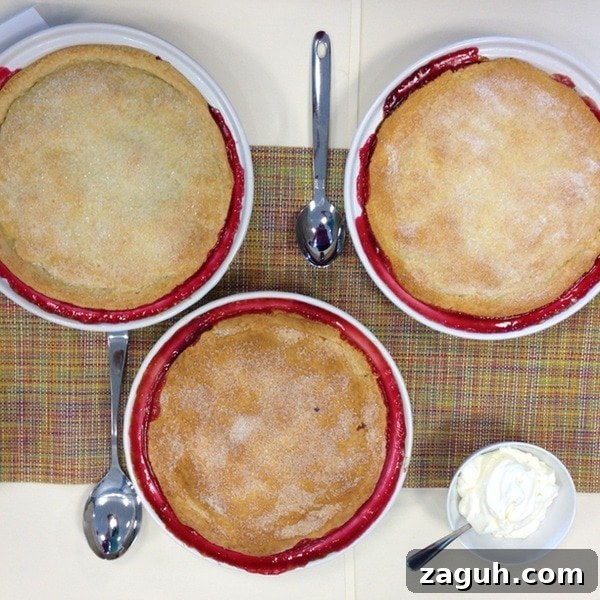 Raspberry and Stone Fruit Cobbler Raspberry and Stone Fruit Cobbler