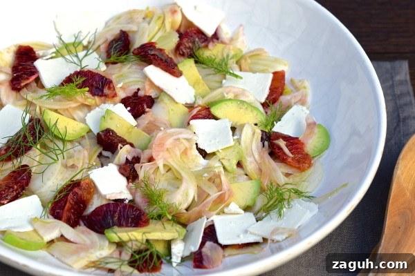 Citrus Fennel Salad with Avocado and Ricotta Salata Recipe 2 fennel salad with citrus, avocado and ricotta salata | pamela salzman