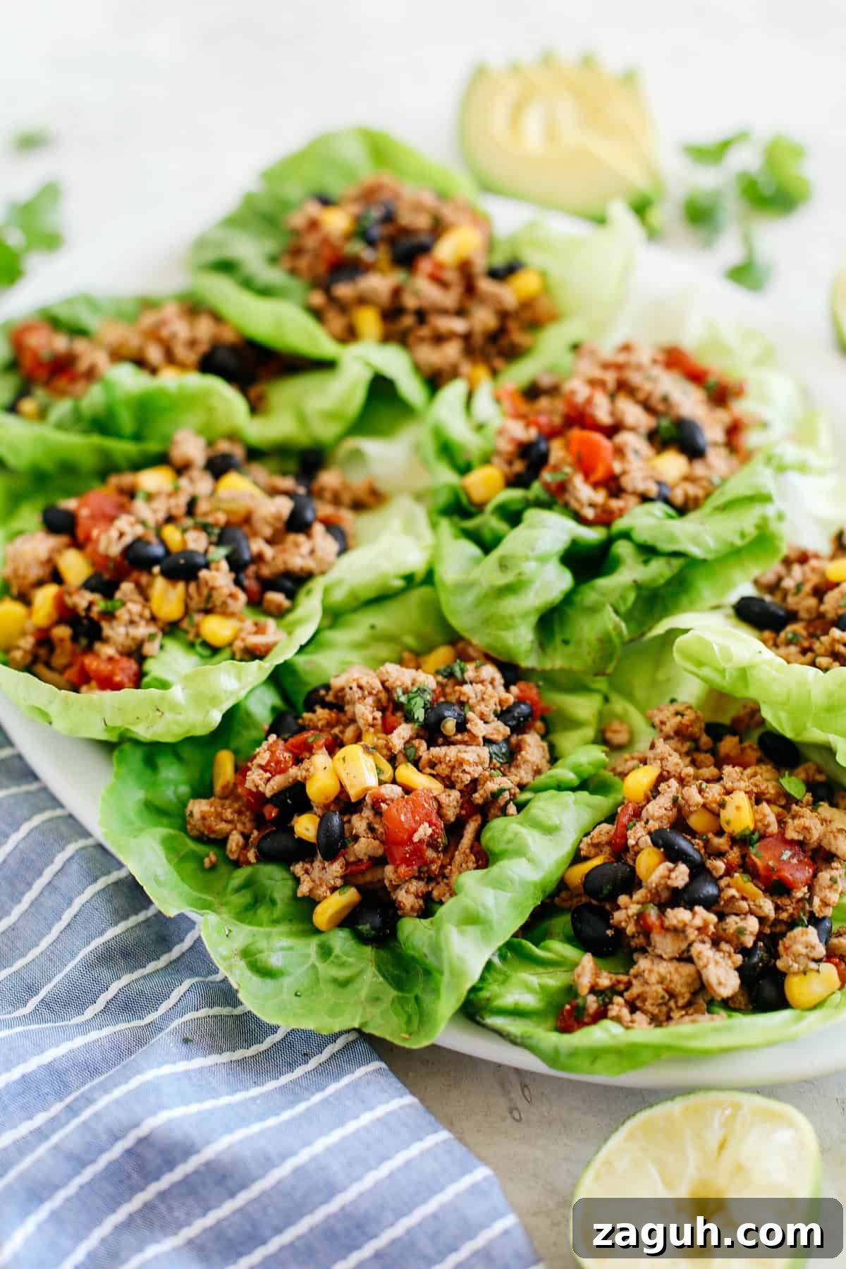 Turkey Taco Lettuce Wraps Recipe — Flavorful Low-Carb Dinner 2 Light and healthy Turkey Taco Lettuce Wraps that are an easy low carb alternative to traditional tacos, are super flavorful and take less than 20 minutes to make!