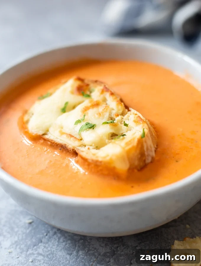 Creamy Tomato Bisque Recipe: Smooth, Rich, and Quick to Make 2 Tomato bisque soup in a bowl topped with cheesy toasted ciabatta