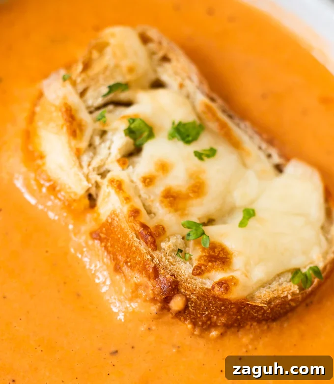 Creamy Tomato Bisque Recipe: Smooth, Rich, and Quick to Make 12 img 14437 12