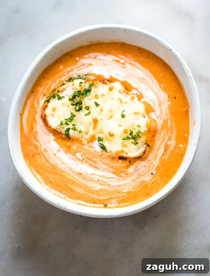 Creamy Tomato Bisque Recipe: Smooth, Rich, and Quick to Make 13 a bowl of tomato bisque