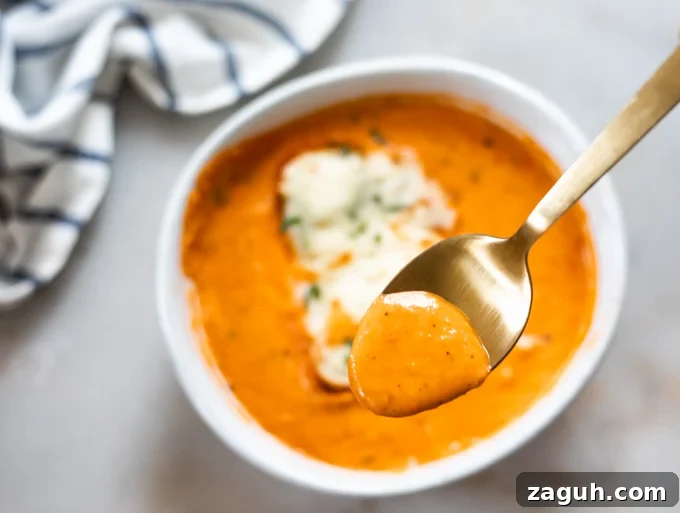 Creamy Tomato Bisque Recipe: Smooth, Rich, and Quick to Make 14 A picture of spoonful of tomato bisque