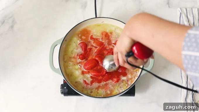 Creamy Tomato Bisque Recipe: Smooth, Rich, and Quick to Make 9 Using an immersion blender to puree the soup