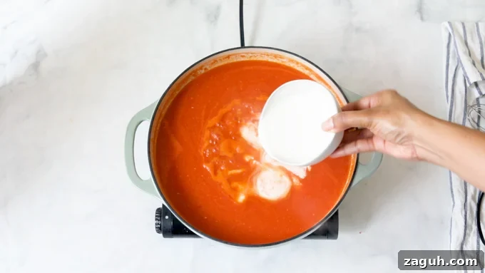 Creamy Tomato Bisque Recipe: Smooth, Rich, and Quick to Make 10 Pouring milk into the soup