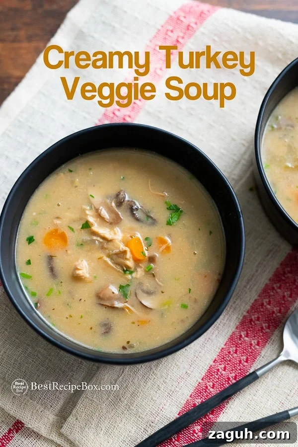 Creamy turkey vegetable soup or chicken soup recipe | BestRecipeBox.com Creamy turkey vegetable soup or chicken soup recipe in bowl