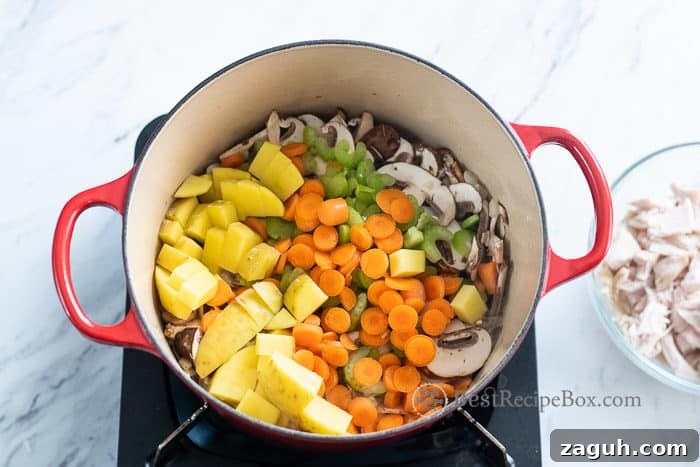 Creamy Turkey and Vegetable Soup Recipe (Chicken Option) 3 vegetables in saucepan