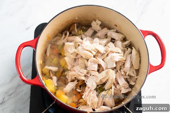 Creamy Turkey and Vegetable Soup Recipe (Chicken Option) 4 Turkey added to vegetables