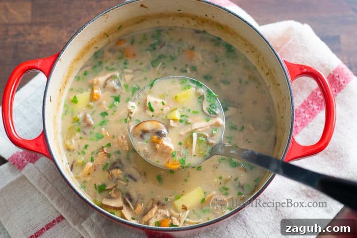 Creamy Turkey and Vegetable Soup Recipe (Chicken Option) 6 Finished creamy turkey vegetable soup