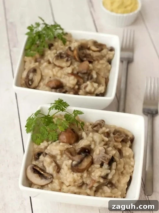 21 Cozy Vegan Comfort Recipes for Every Craving 15 Creamy Vegan Mushroom Risotto