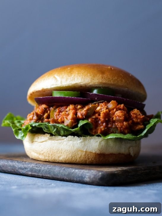 21 Cozy Vegan Comfort Recipes for Every Craving 22 Perfect Vegan Sloppy Joes