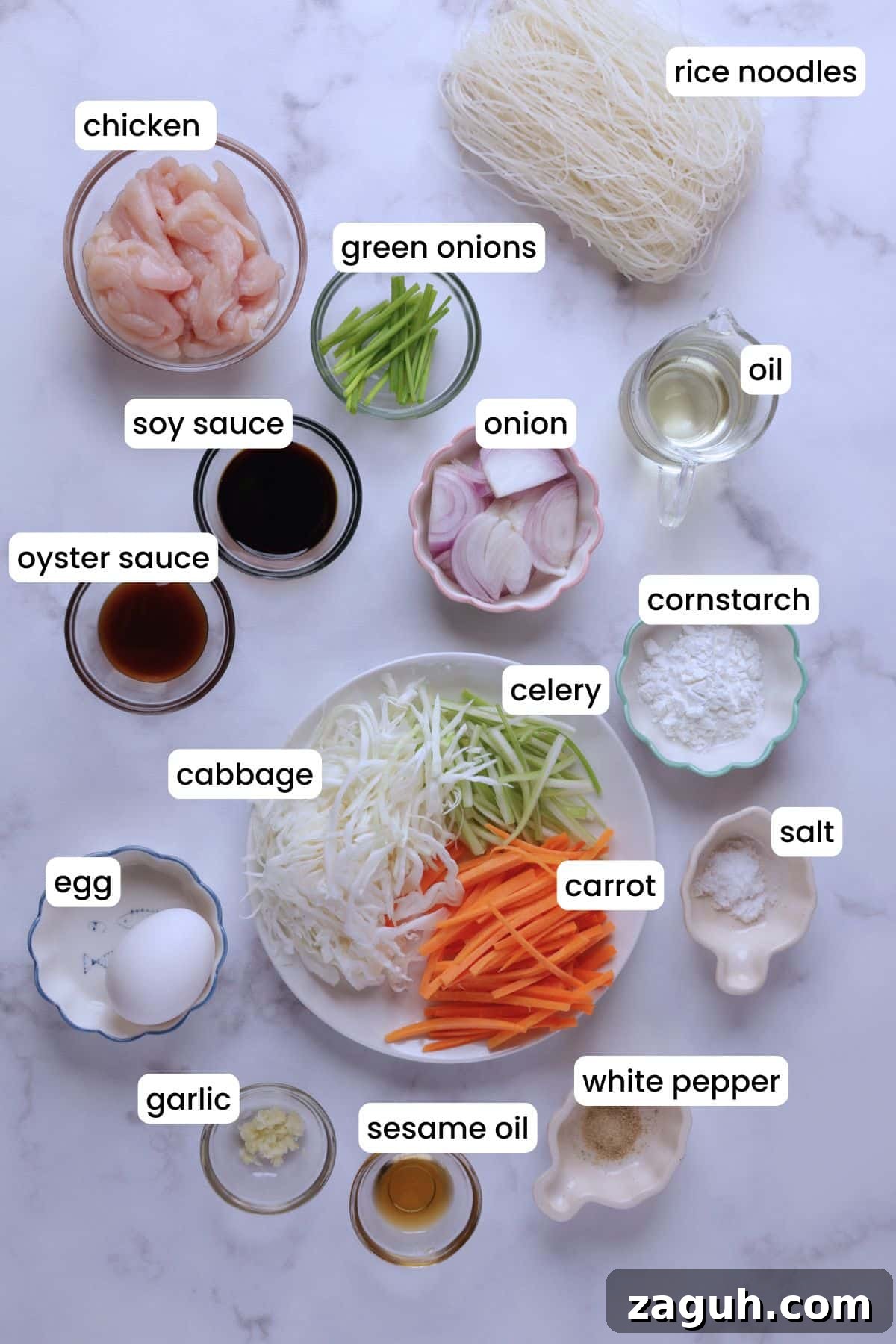 Homestyle Chicken Mei Fun Noodles Recipe for Tender Stir-Fry 3 Prepared ingredients for chicken mei fun on a white background.
