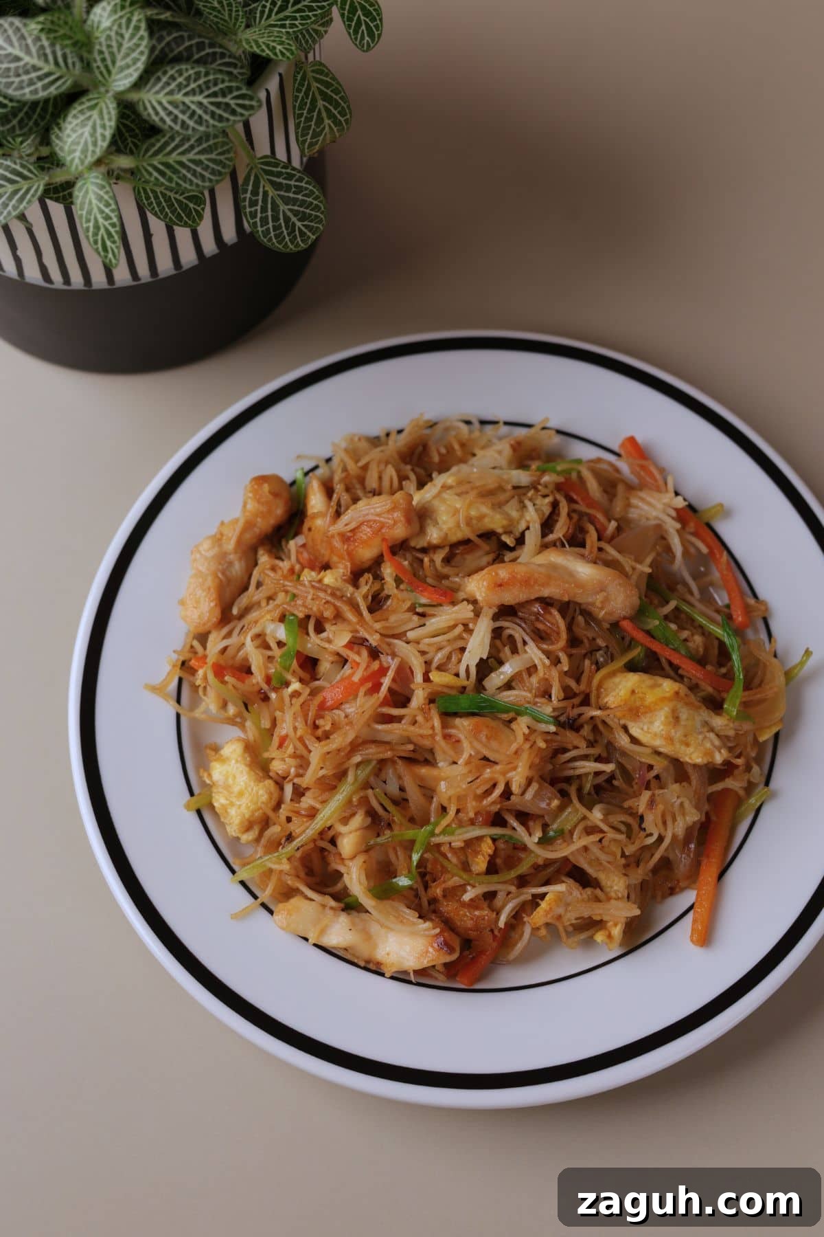 Homestyle Chicken Mei Fun Noodles Recipe for Tender Stir-Fry 7 Chicken mei fun noodles with vegetables on a white plate.