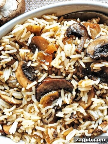 A dish of spicy mushroom fried rice next to raw mushrooms.